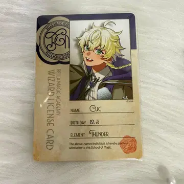 비바렌 마법학원 마법사 인증 카드