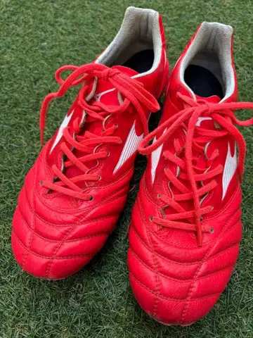 새상품급 모나르시다 네오 2 가격 인하 중