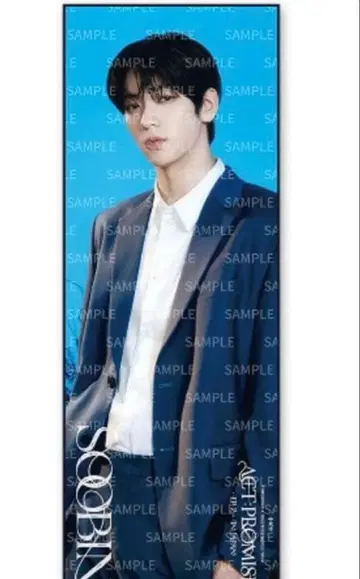 TXT ACT: PROMISE EP.2 BIG PHOTOTOWEL 수빈