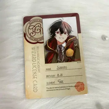 비바렌 마법학원 마법사 인증 카드