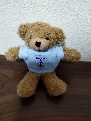 [ 귀중 새상품 ] 페리스 여자 대학 곰돌이