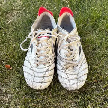 선착순! 모렐리아 네오 25.5