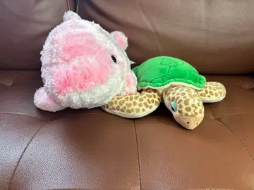 돌고래와 거북이 봉제 인형 세트