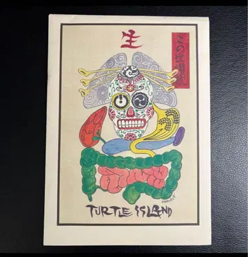 터틀 아일랜드 CD/DVD 세트