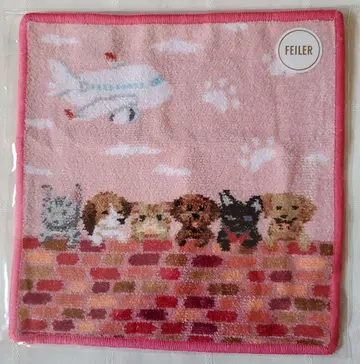 JAL 페이러 피핑 리틀 스카이