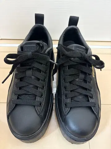 PUMA 메이즈 클래식 22.0cm