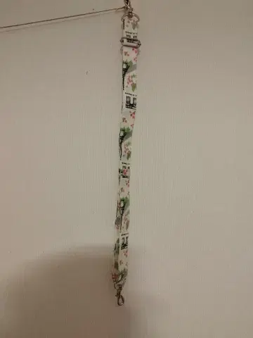 ROOTOTE 마더백 스트랩