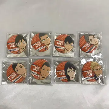 총 8종 세트 하이큐!! 페스티벌 2023 캔뱃지 B