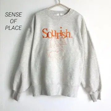 SENSE OF PLACE 긴팔 스웨트 트레이닝복 속기모
