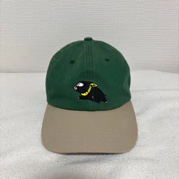 란마 1/2 료가 캡