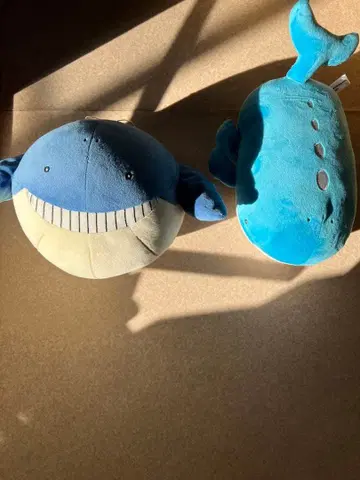 포켓몬스터 복슬복슬 봉제 인형 고래왕, whaleo