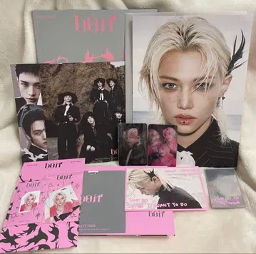 stray kids DO IT IT ver Felix 필릭스