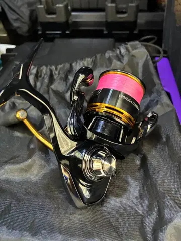 LT2000s-p 레갈리스 다이와 낚시릴