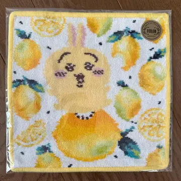 페이러 치이카와 콜라보 토끼