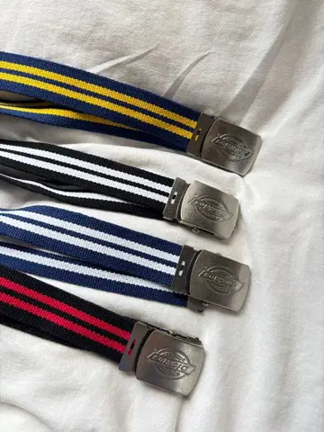 Dickies 캔버스 벨트 4종 세트