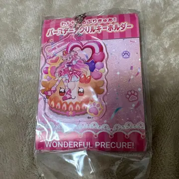 프리큐어 아크릴 키링