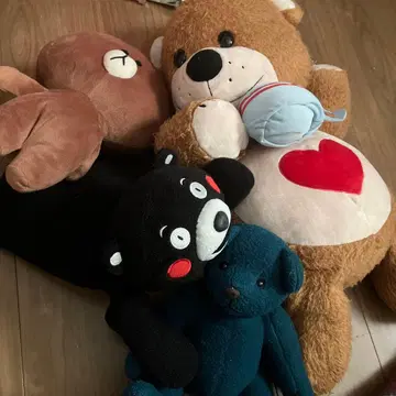 곰 봉제 인형 세트