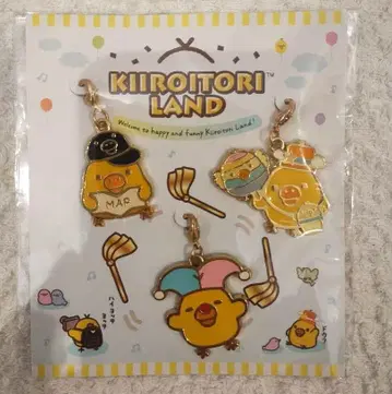 키이로이토리 참 세트 B 키이로이토리 원더즈