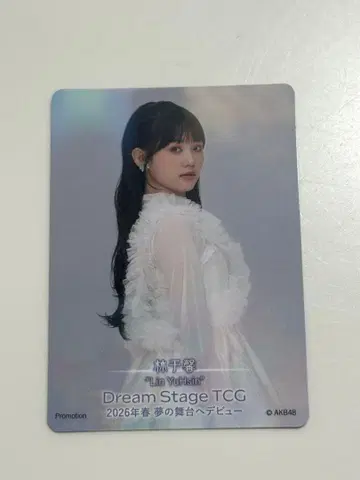 AKB48 무도관 콘서트 입장자 혜택 카드 임우신