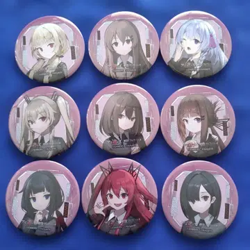 아쉬 암즈, 용철의 말후샤, 캔 배지 9