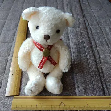 기념일 베어 크림색