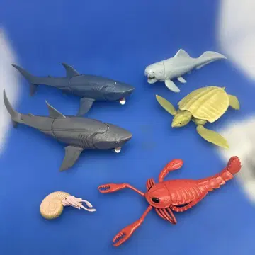 메갈로돈과 옛날 바다 컴프