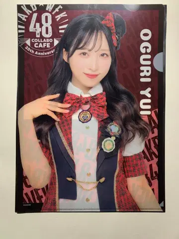 오구리 유이 웬디즈 콜라보 클리어 파일