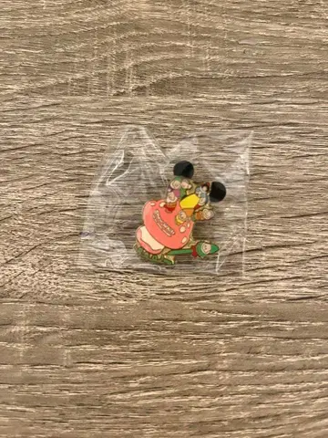 디즈니 핀 배지 시크릿