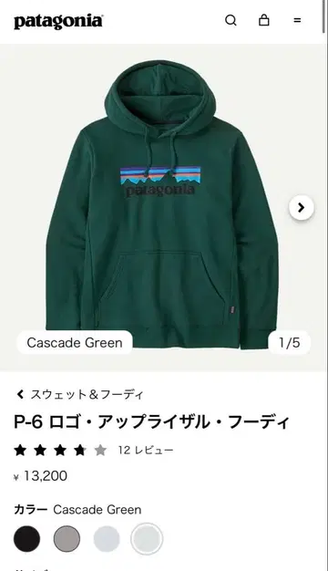 patagonia 로고 업라이저 후디 S 캐스케이드 그린