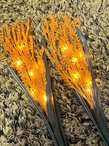 렉시 빛나는 벼 2개 세트