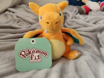 포켓몬 fit 리자몽 택 포함