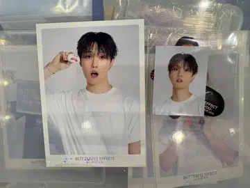 호리 나츠키 FANTASTICS 증명사진풍 스티커 포토 카드 시크릿 세트