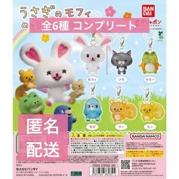 토끼 모피 메지루시 액세서리 컴플리트