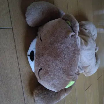 브라운 곰 봉제 인형