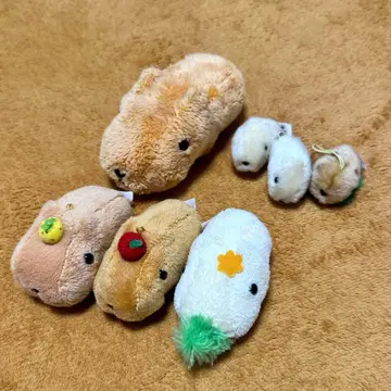 부르르 카피바라 씨 카피바라 씨 봉제 인형 세트