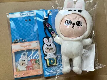 스키즈 토이월드 승민 PuppyM 백참 키링