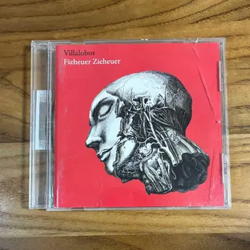 Ricardo Villalobos / Fizheuer Zieheuer