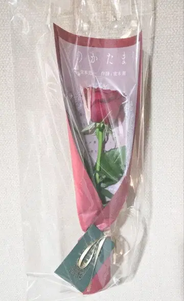 DOMOTO '사랑의 덩어리' POP-UP EVENT 포장지 세트