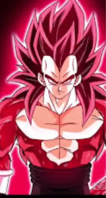 DRAGON BALL 제노 피규어 2개