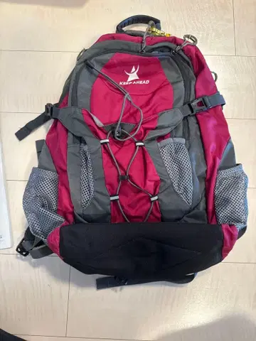 KEEP AHEAD 백팩 핑크 그레이