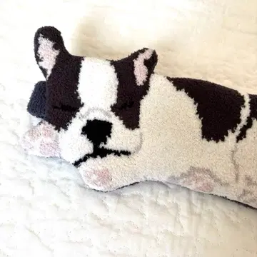 젤라또피케 퍼그 씨 안대