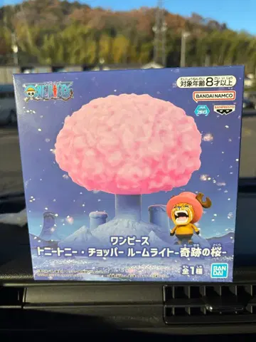 원피스 토니토니 초파 룸 라이트