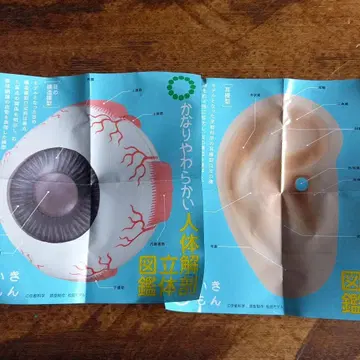 가챠 꽤 부드러운 인체 해부 입체 도감 귀, 눈