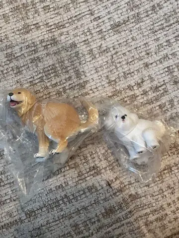 굼벵이 2 골든 리트리버 비숑 프리제 세트