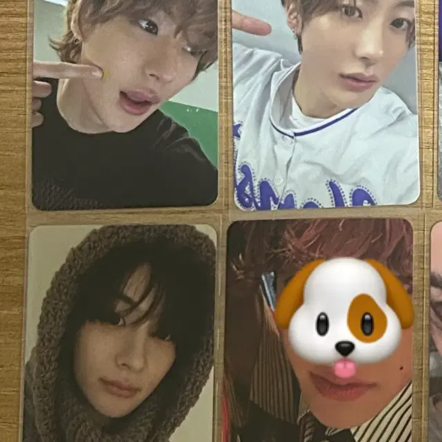 앤톤 라이징 앨범포카