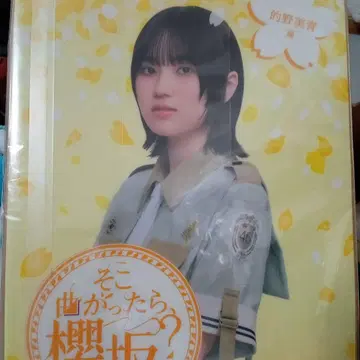 거기 가면, 사쿠라자카? 마토노 미오 편 로손 HMV 특전 클리어 파일