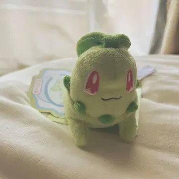 치코리타 세탁 가능한 봉제 인형