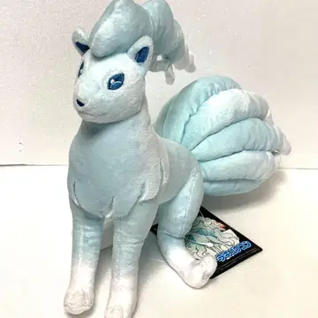 알로라 큐콘 봉제 인형 포켓몬 센터 레어