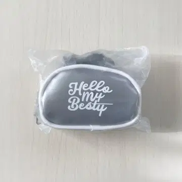 새상품 BE:FIRST 미니 보스턴 참 실버