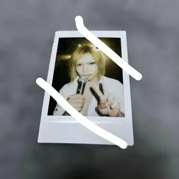 키류인 쇼 폴라로이드 3 골든 폭격기